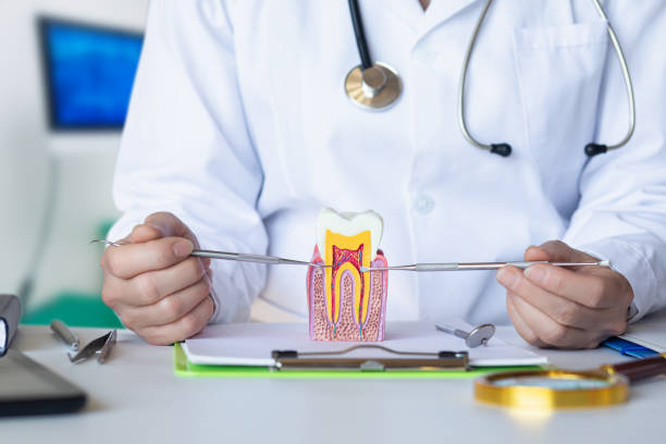 Best Emergency Tooth Extraction in Blackville, SC